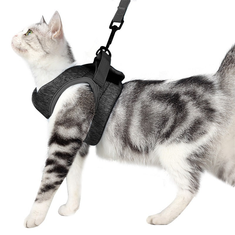 Cat Leash