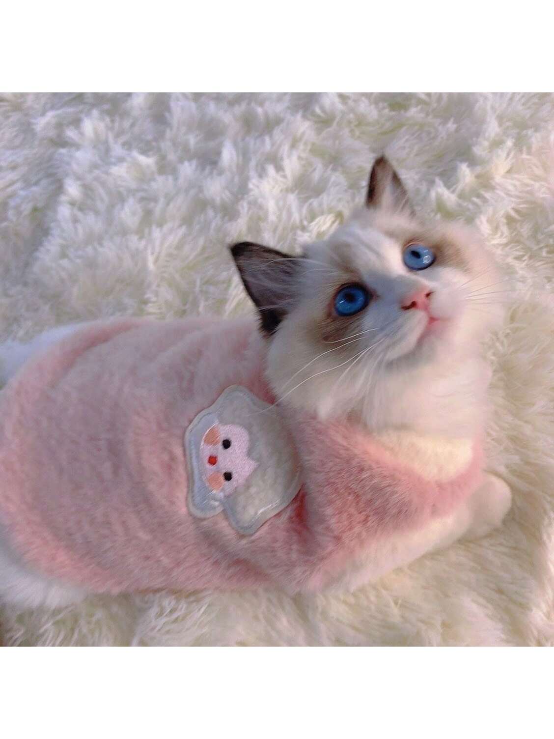 Cat Clothes