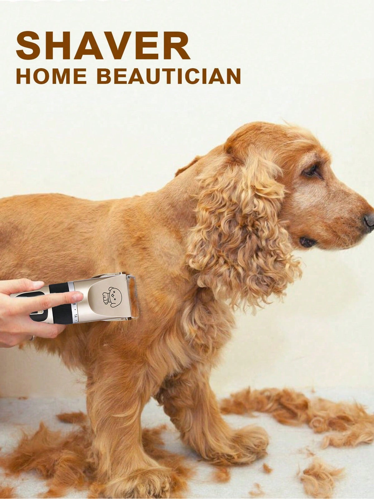 Dog Grooming
