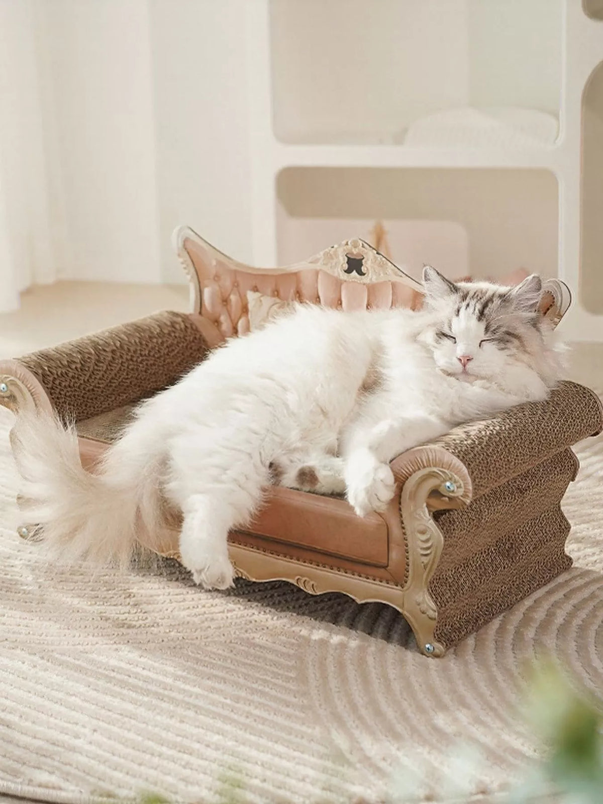 Cat Scratcher