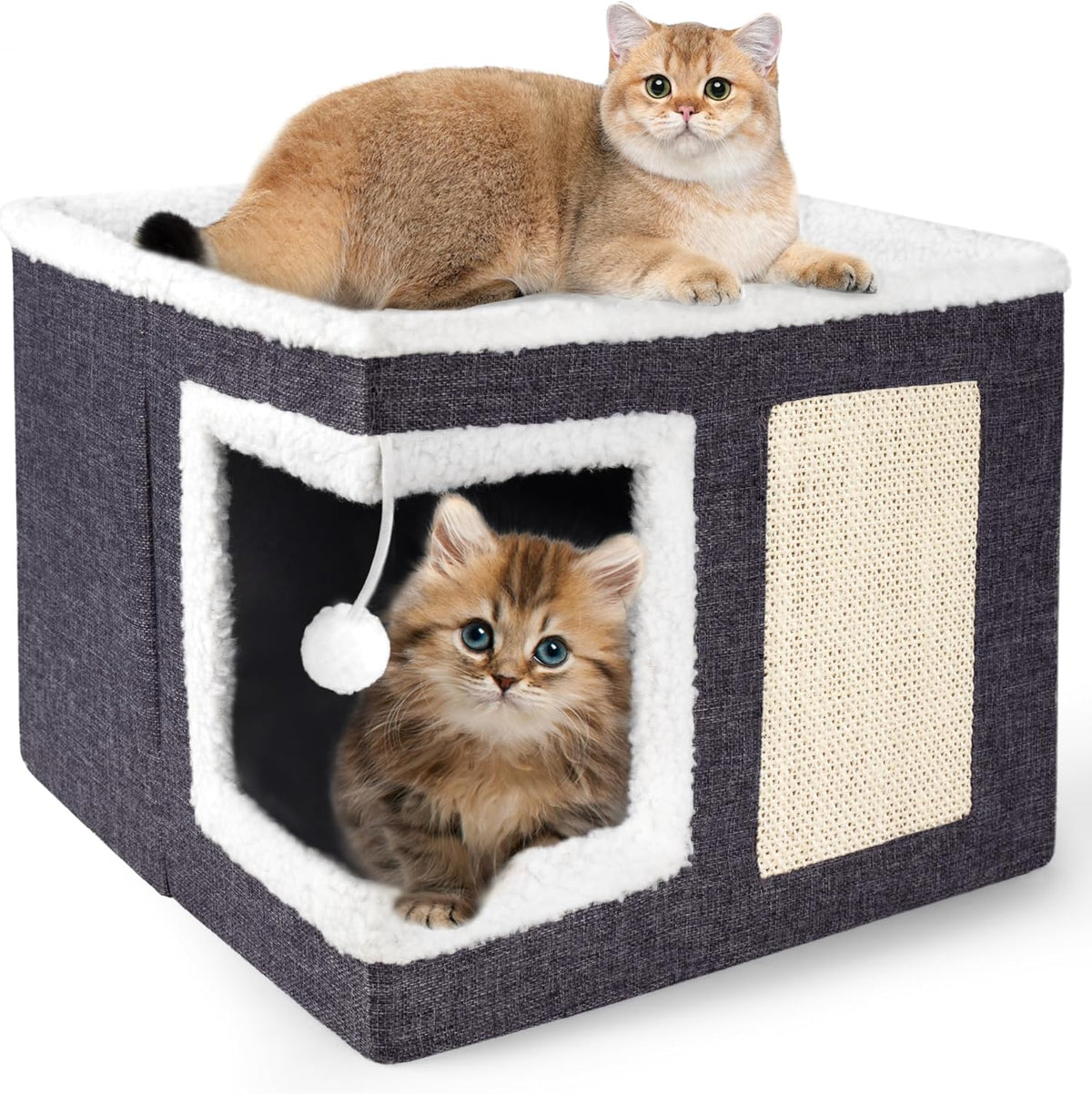 Cat Bed