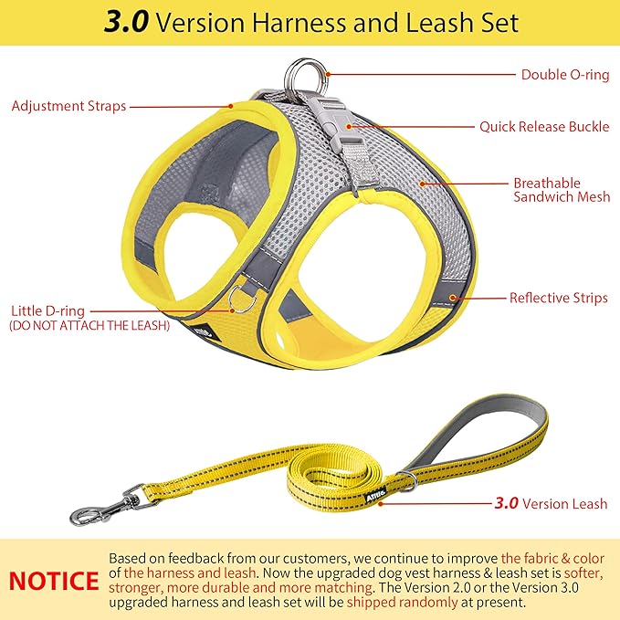 Dog Harness