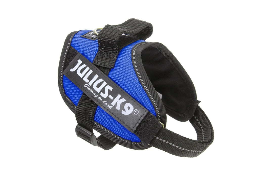 Julius-K9® IDC® Powerharness
