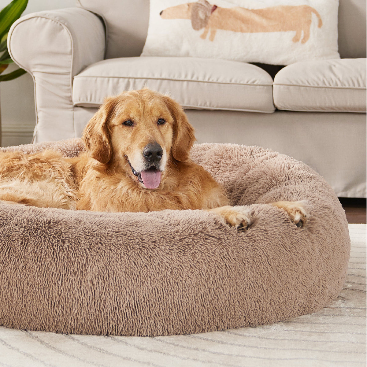 Calming Donut Bed for Dogs and Cats